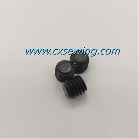Screws M6X6(chrome plated)